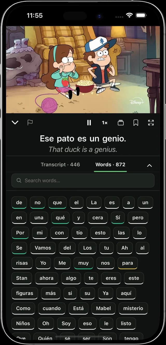 LingoLens on iPhone: a video playing with dual Spanish and English captions, and the words from it listed below